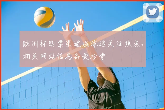 欧洲杯购票渠道成球迷关注焦点，相关网站信息备受检索