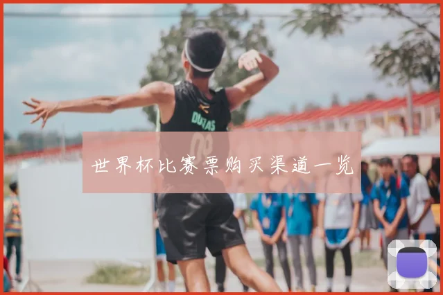 世界杯比赛票购买渠道一览