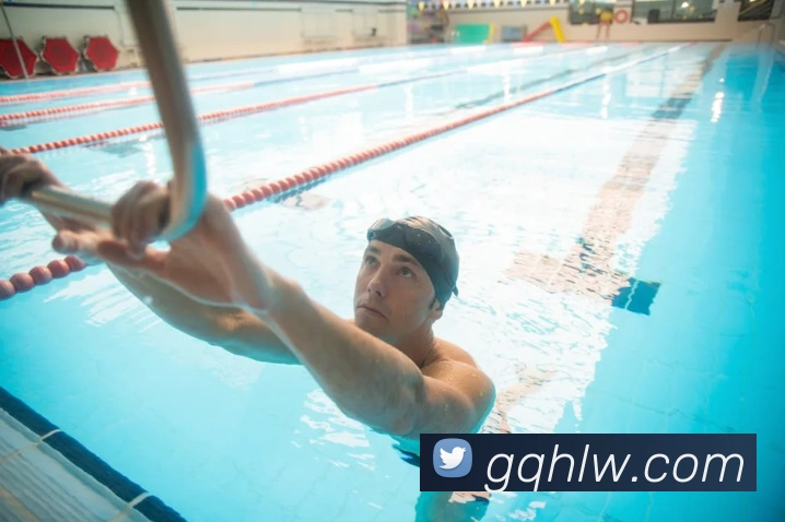 东升国际手机版下载平台生态图